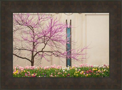 Jordan River Awakening