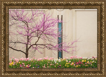 Jordan River Awakening