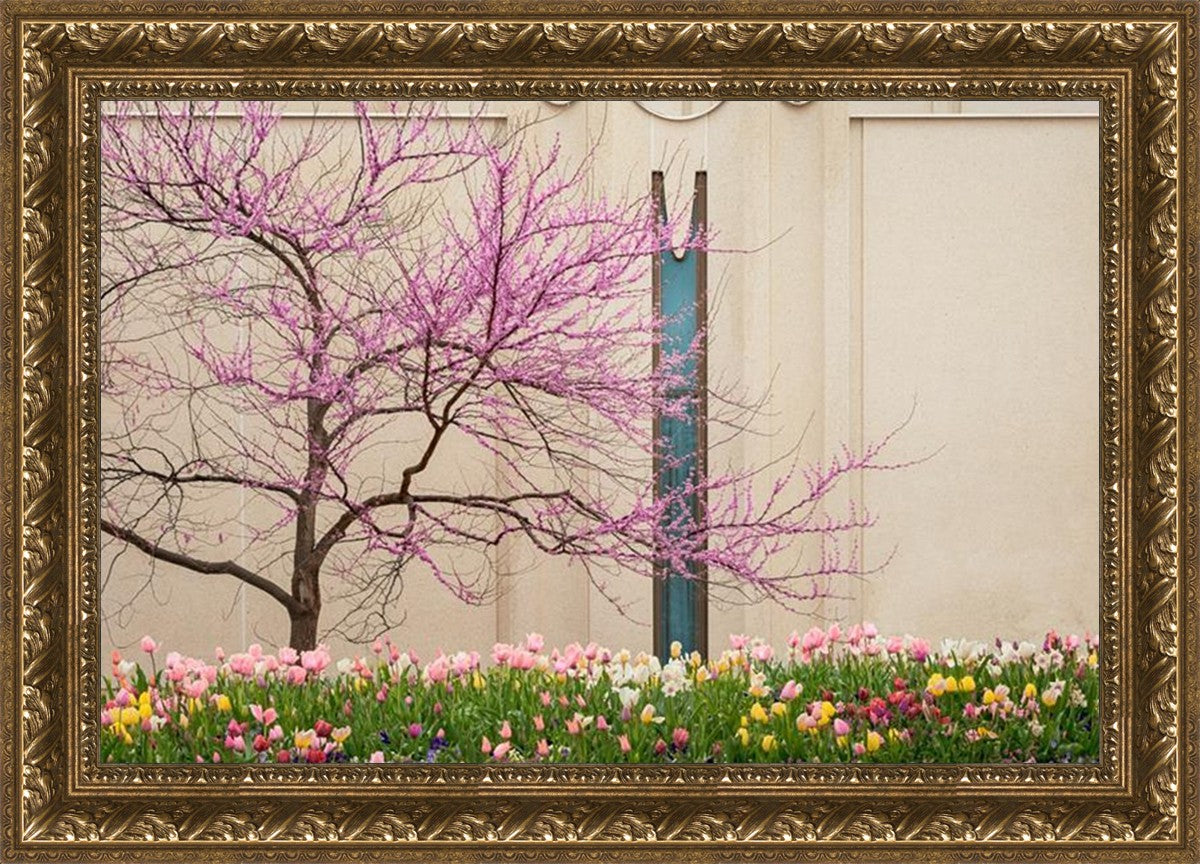 Jordan River Awakening