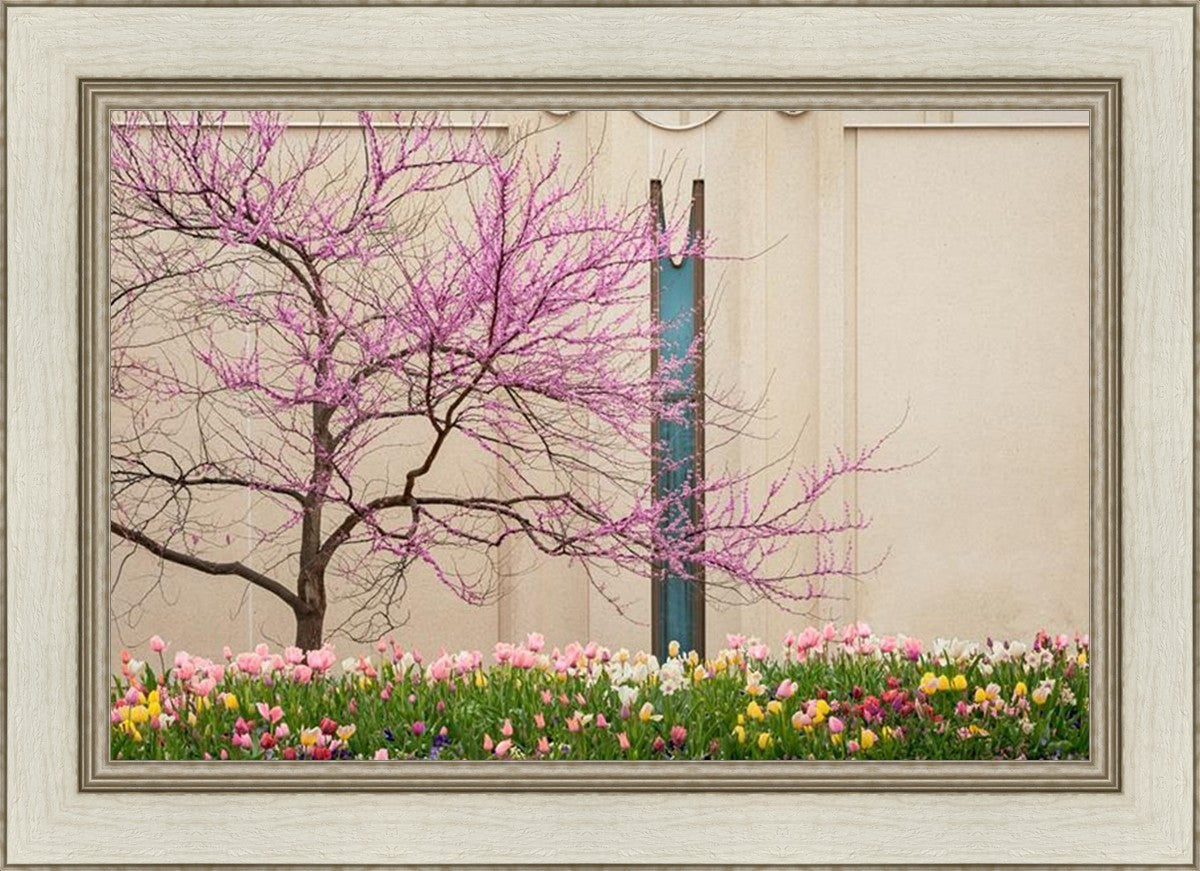 Jordan River Awakening