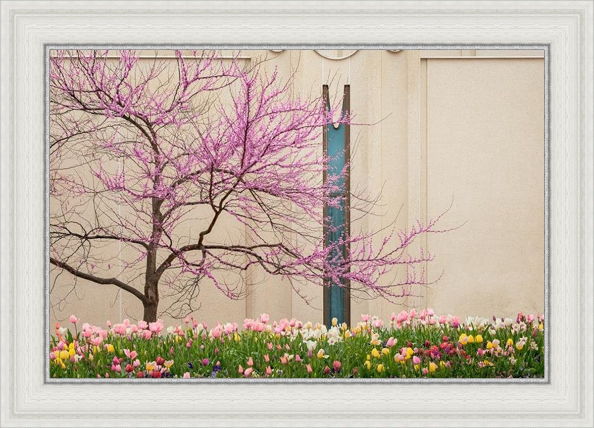 Jordan River Awakening