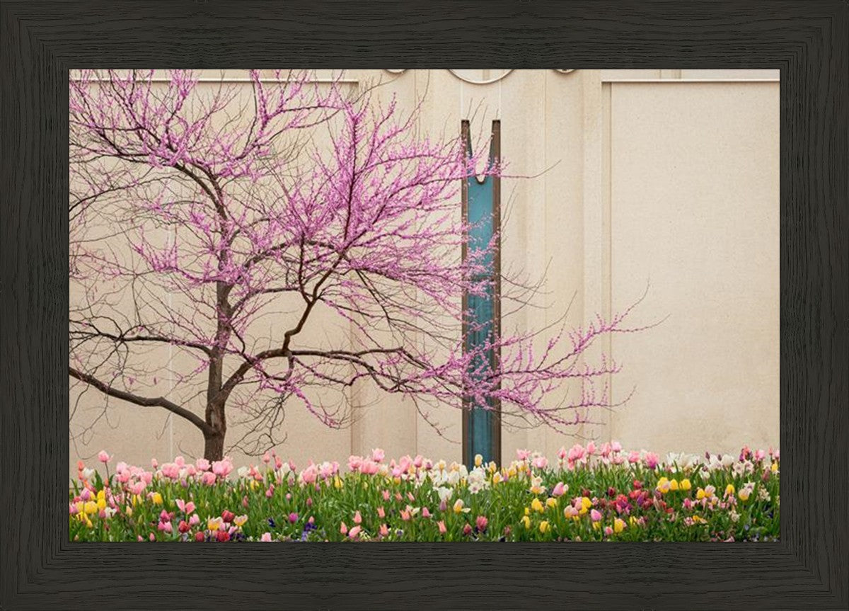 Jordan River Awakening