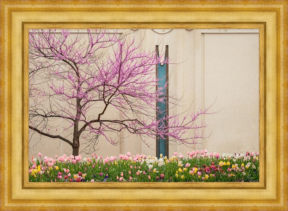 Jordan River Awakening