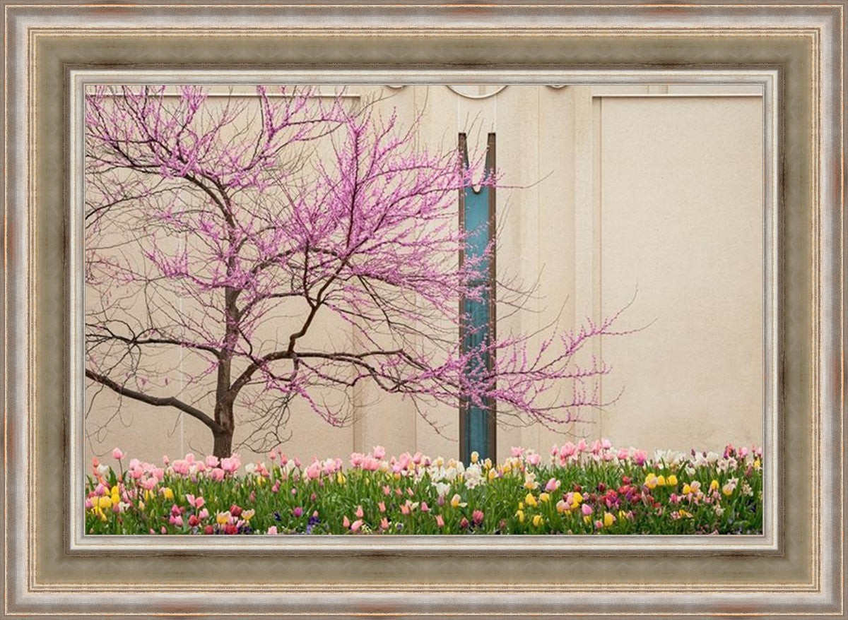 Jordan River Awakening