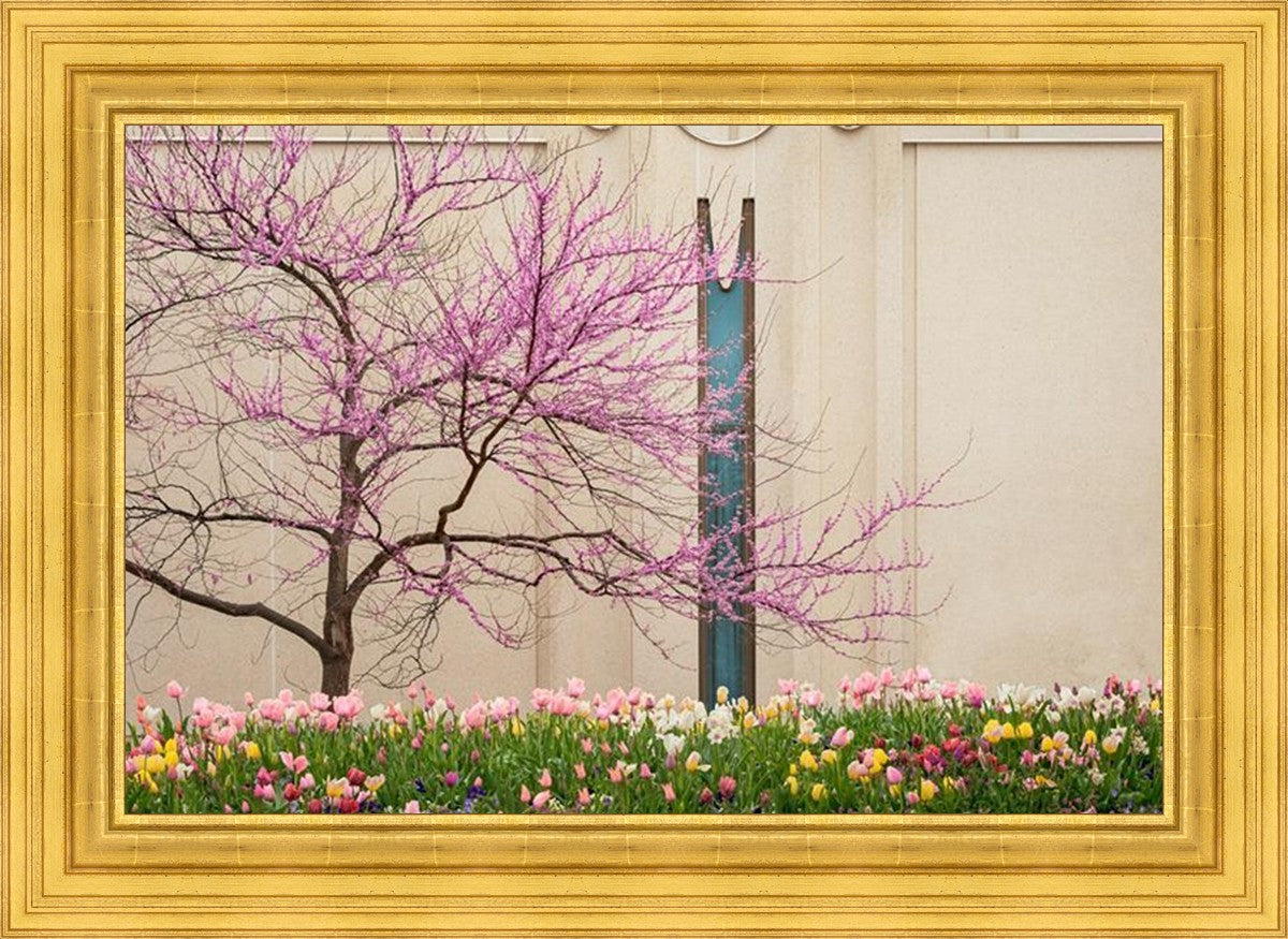 Jordan River Awakening