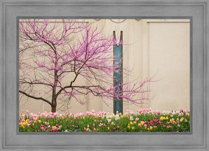 Jordan River Awakening