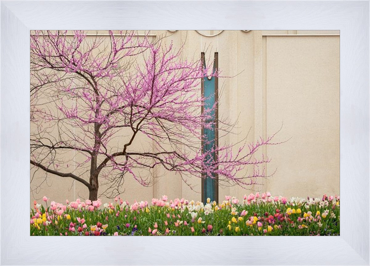 Jordan River Awakening