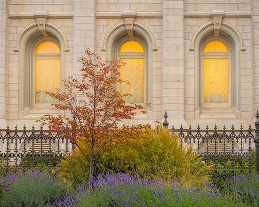 Salt Lake Autumn Detail Gallery Wrap
