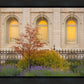 Salt Lake Autumn Detail