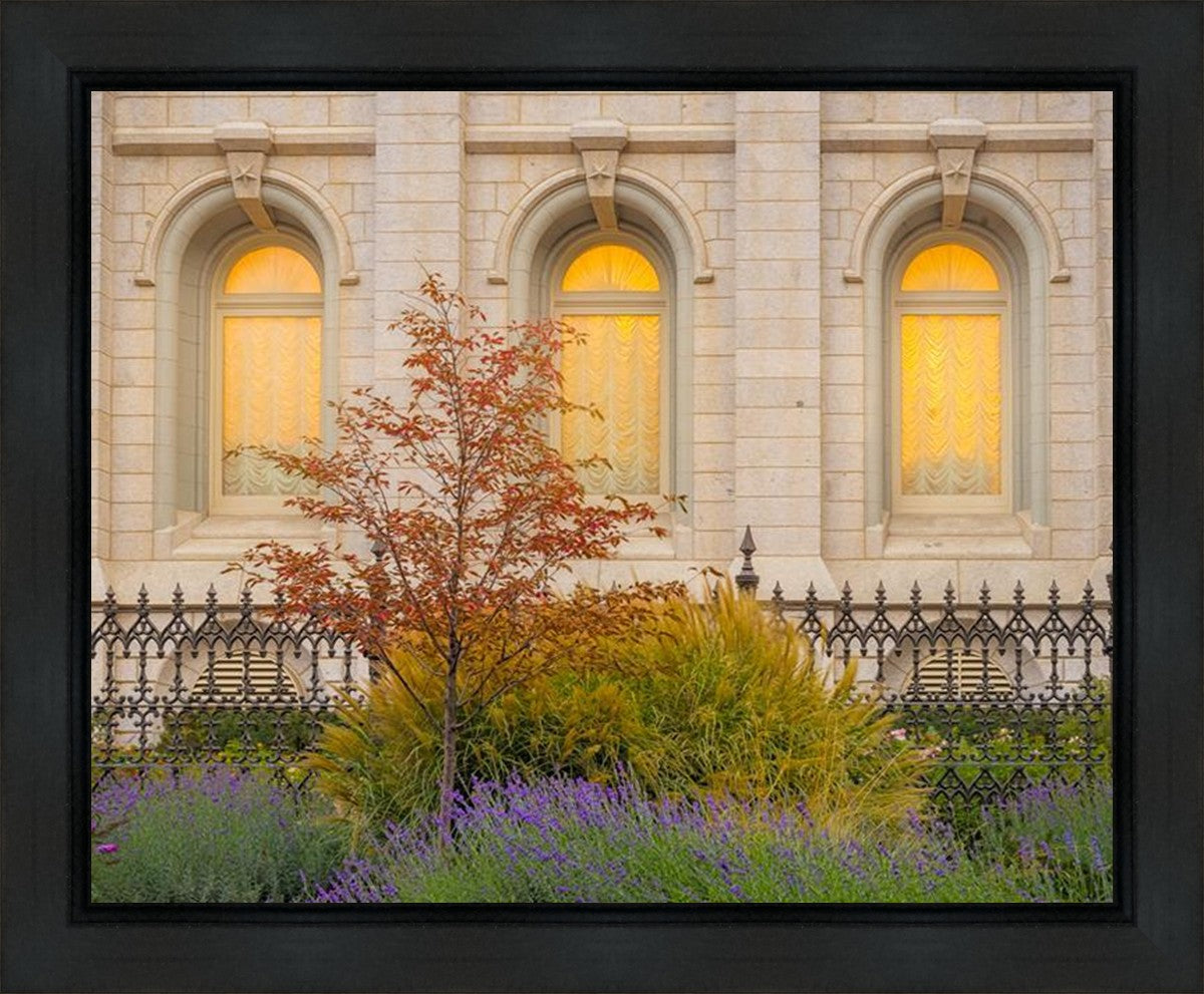 Salt Lake Autumn Detail Gallery Wrap
