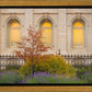 Salt Lake Autumn Detail