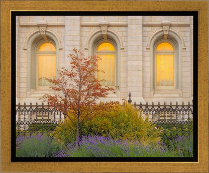 Salt Lake Autumn Detail