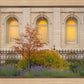 Salt Lake Autumn Detail