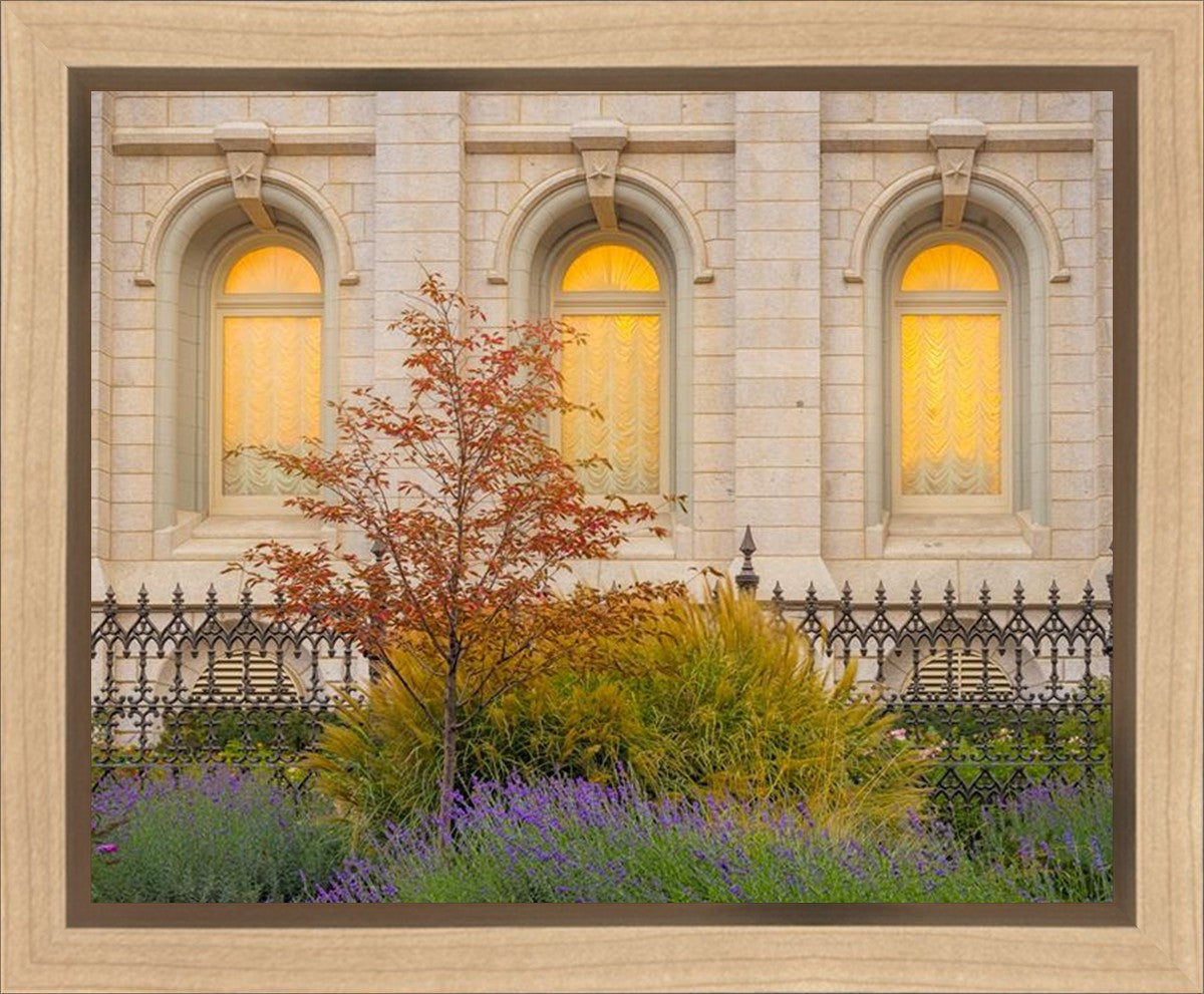 Salt Lake Autumn Detail Gallery Wrap