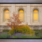 Salt Lake Autumn Detail