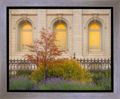 Salt Lake Autumn Detail