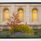 Salt Lake Autumn Detail