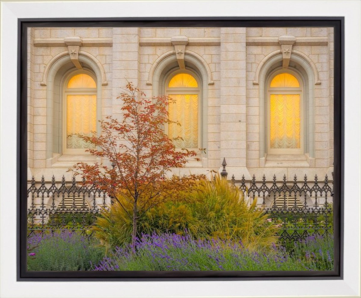 Salt Lake Autumn Detail Gallery Wrap