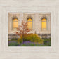 Salt Lake Autumn Detail