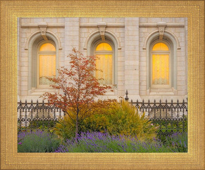 Salt Lake Autumn Detail