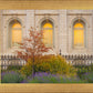 Salt Lake Autumn Detail