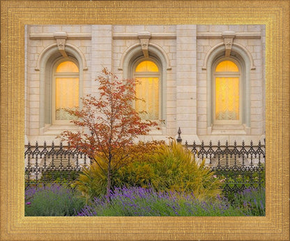 Salt Lake Autumn Detail