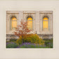 Salt Lake Autumn Detail