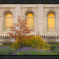 Salt Lake Autumn Detail