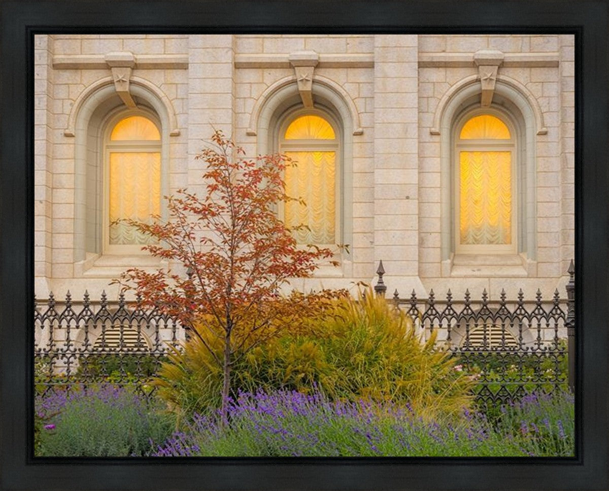 Salt Lake Autumn Detail Gallery Wrap
