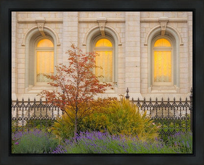Salt Lake Autumn Detail