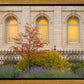 Salt Lake Autumn Detail
