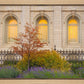 Salt Lake Autumn Detail