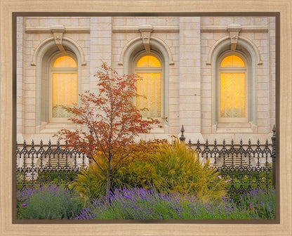 Salt Lake Autumn Detail