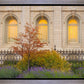 Salt Lake Autumn Detail