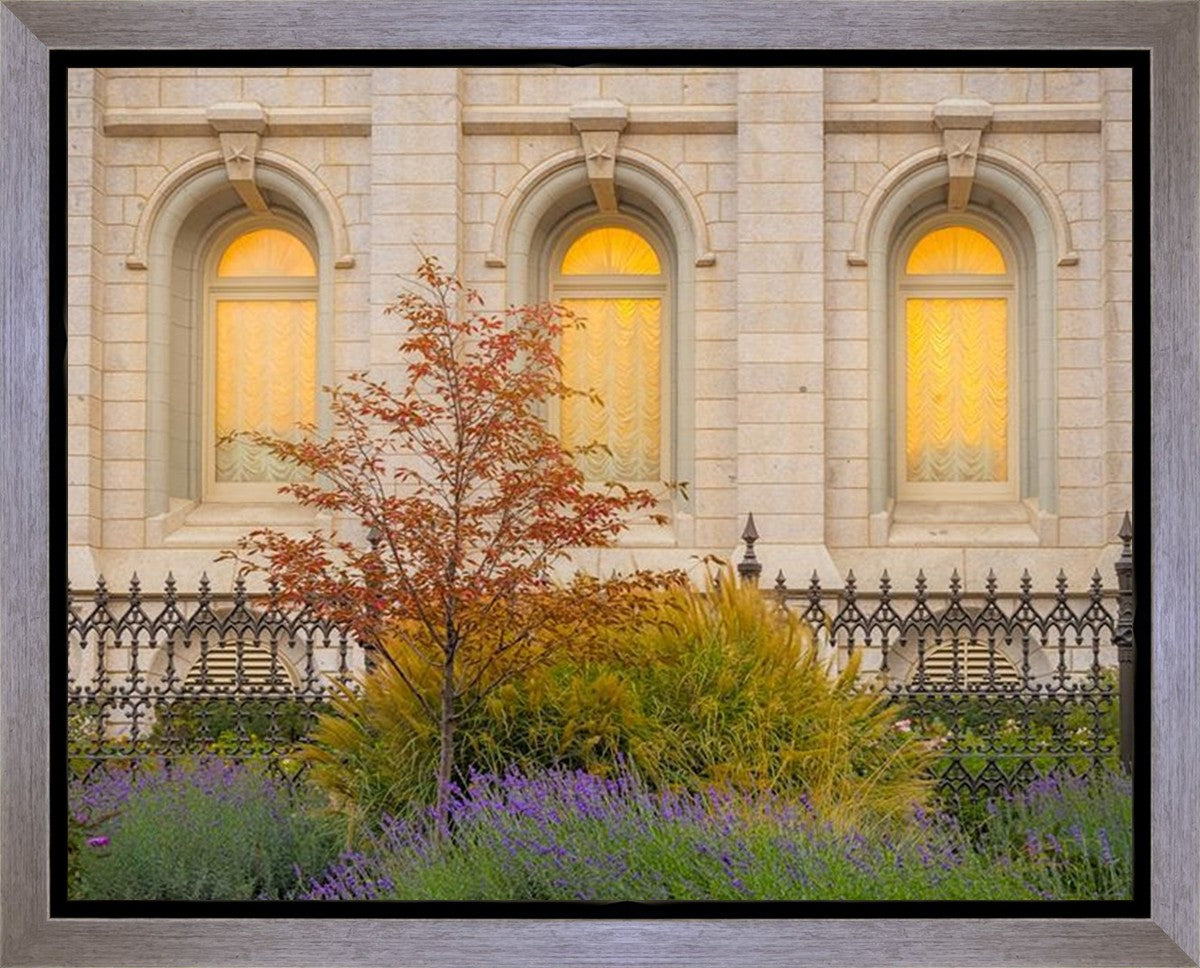 Salt Lake Autumn Detail Gallery Wrap