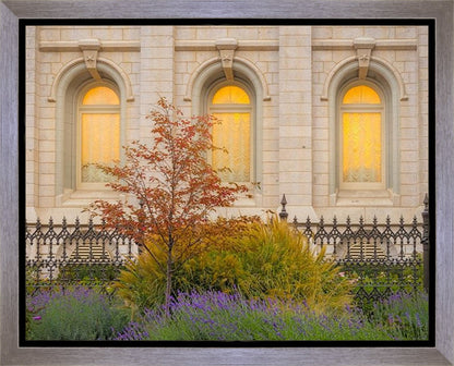 Salt Lake Autumn Detail