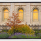 Salt Lake Autumn Detail