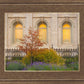 Salt Lake Autumn Detail