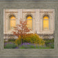 Salt Lake Autumn Detail