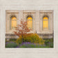 Salt Lake Autumn Detail