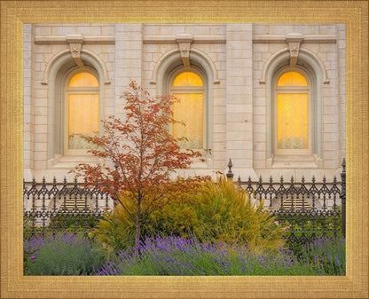 Salt Lake Autumn Detail