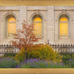 Salt Lake Autumn Detail