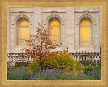 Salt Lake Autumn Detail