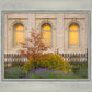 Salt Lake Autumn Detail