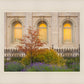 Salt Lake Autumn Detail