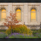 Salt Lake Autumn Detail