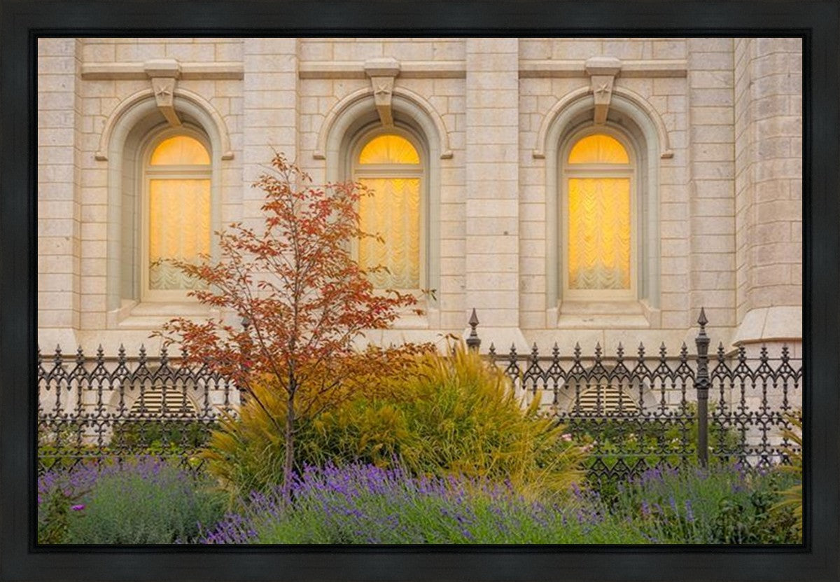 Salt Lake Autumn Detail Gallery Wrap