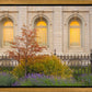 Salt Lake Autumn Detail