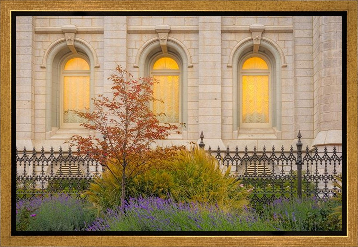 Salt Lake Autumn Detail Gallery Wrap