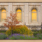Salt Lake Autumn Detail